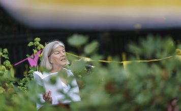 Erfgoed in Groningen presenteert: ZOMOR WAT OMMAANS